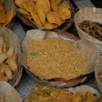 Vraj-Yatra-2014- (1020)